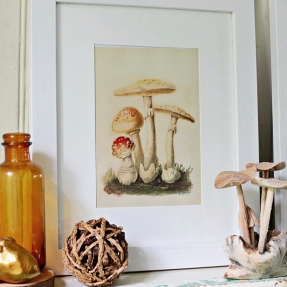 Vintage MUSHROOM Print Wall Art Cottagecore - Picture 4 of 8